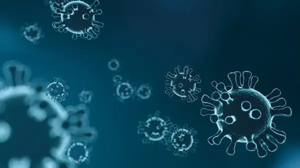 Dengue virus